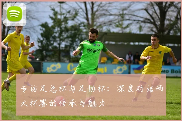 专访足总杯与足协杯：深度对话两大杯赛的传承与魅力