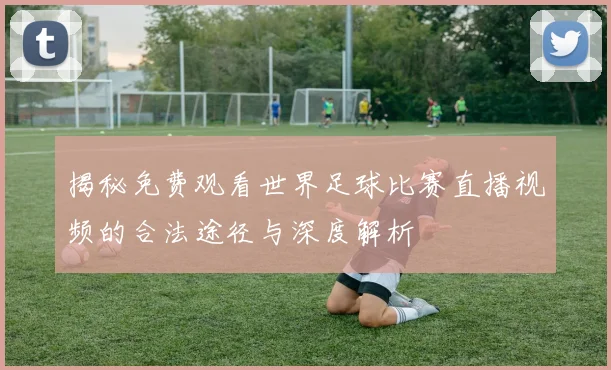 揭秘免费观看世界足球比赛直播视频的合法途径与深度解析